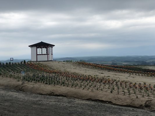 Flower Land Kamifurano by null