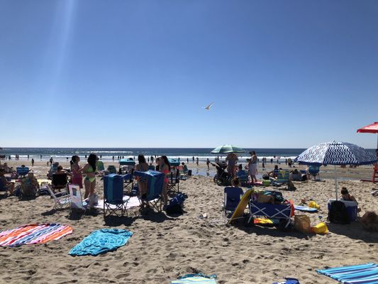 Good Harbor Beach by null