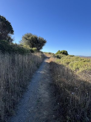 Tomales Bay Trailhead by null