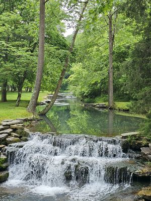 Dogwood Canyon Nature Park by null