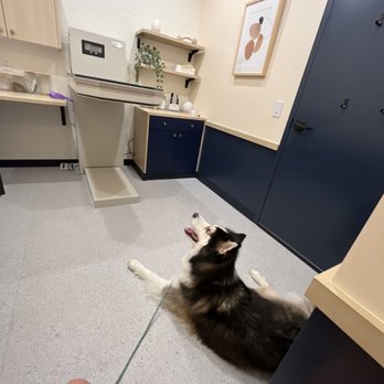 Bond Vet - Union - Veterinarians Near Me - Union, New Jersey Bond Vet - Union - Veterinarians Near Me - Union, New Jersey