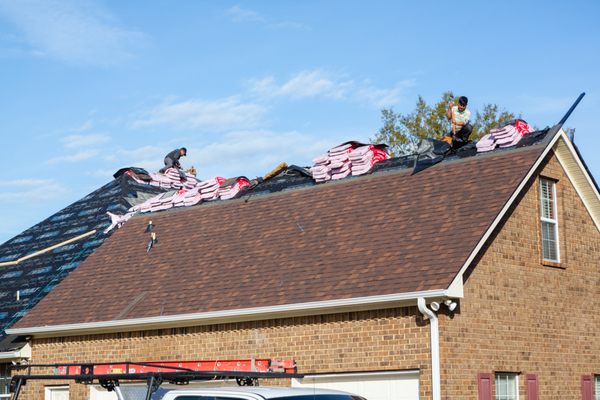 MD Simmons Consulting