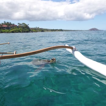 Hawaiian Outrigger Experience - Honu breaking surface under our outrigger - Tours Near Me - Wailea-Makena, Hawaii Hawaiian Outrigger Experience - Honu breaking surface under our outrigger - Tours Near Me - Wailea-Makena, Hawaii