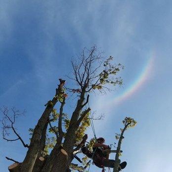 Sidonian Tree Service - Tree Services Near Me - Maumee, Ohio Sidonian Tree Service - Tree Services Near Me - Maumee, Ohio