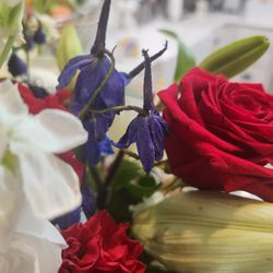 BLOOMSGIFTS&BALLOONS