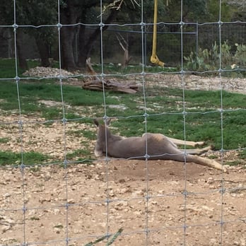 Austin Zoo - Zoos Near Me - Austin, Texas