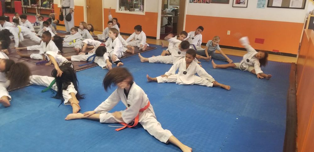 J Park Tae Kwon Do Logo