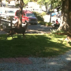 Oak Dell RV Park - Lots of nature to enjoy!