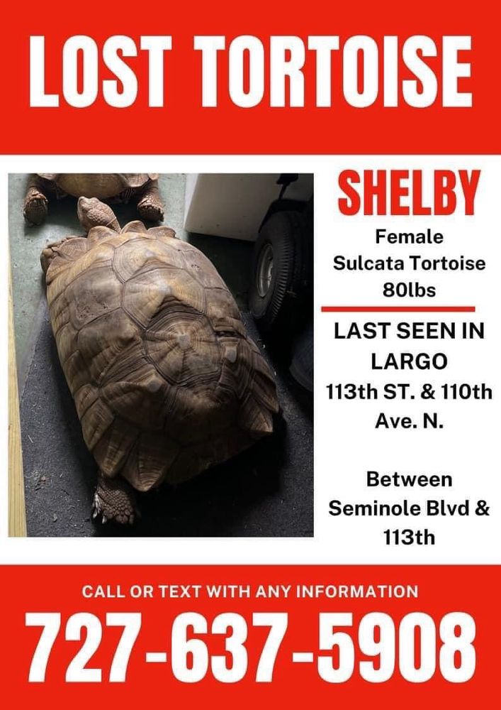 WILDLIFE RESCUE & REHABILITATION Updated October 2024 9500 82nd Ave