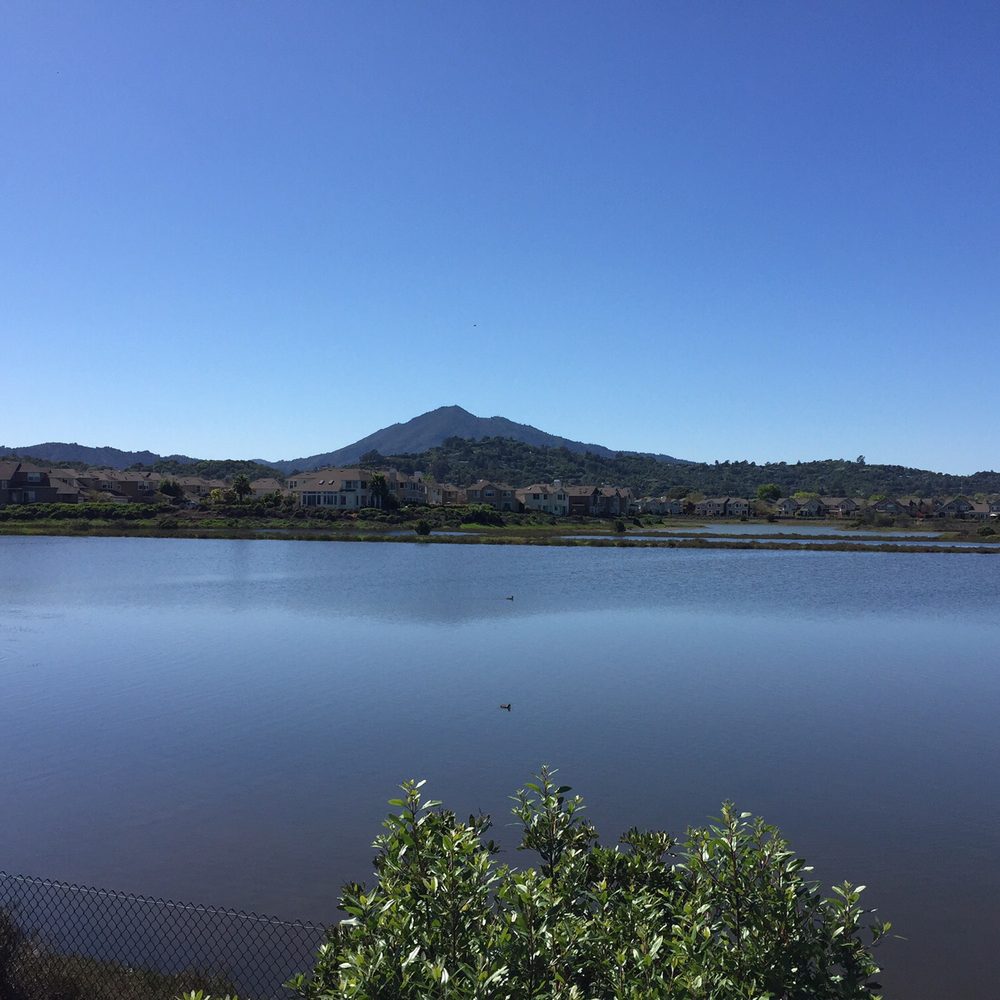 Shoreline Industrial Park - Parks Near Me - San Rafael, California Shoreline Industrial Park - Parks Near Me - San Rafael, California