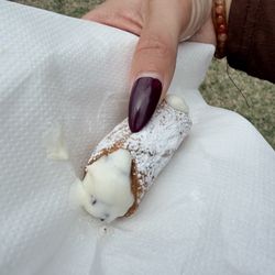 Sfingoli - small cannoli