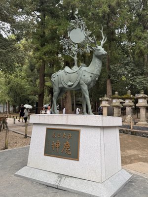 Kasugataisha Shrine by null