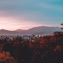 World Travel Services