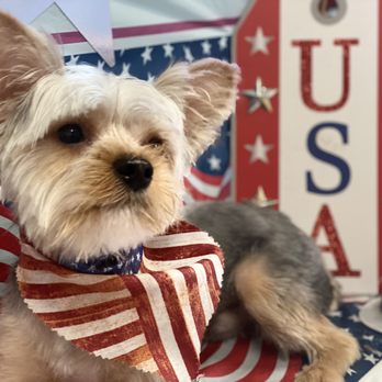 Crazy Dog Grooming - Pet Groomers Near Me - Lancaster, South Carolina
