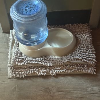 The Lounge - Water Bowl for Dog - Lounges Near Me - Sappington, Missouri