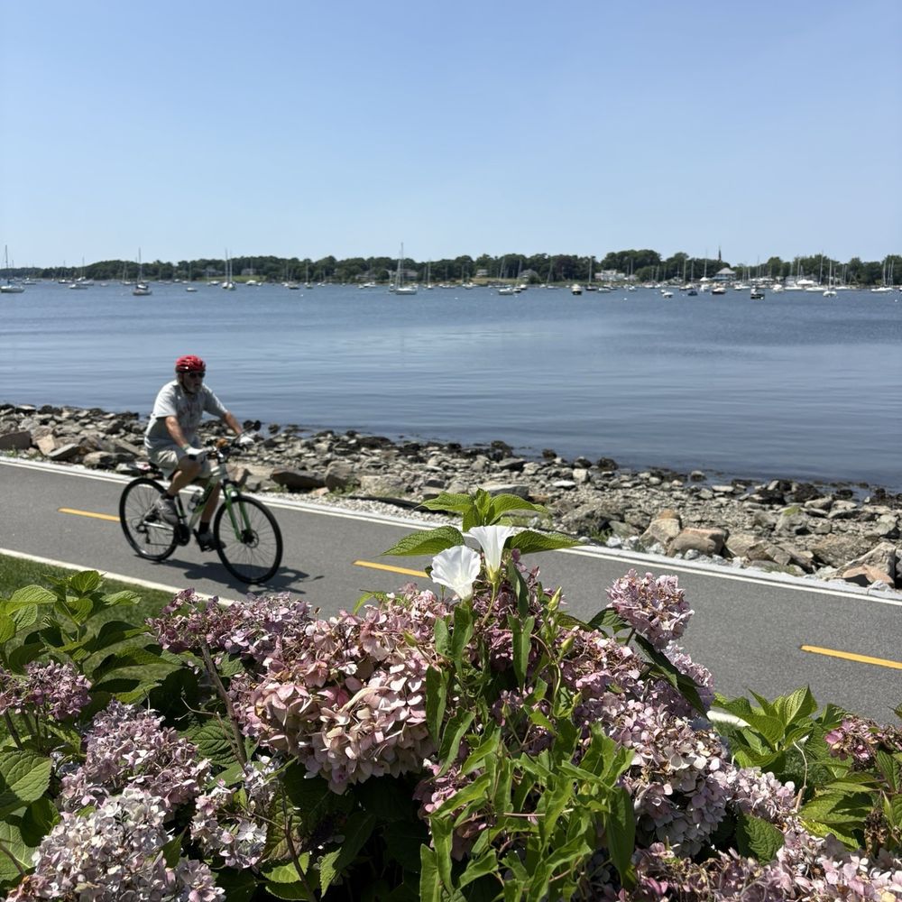 The Beach House - View - Bars Near Me - Bristol, Rhode Island