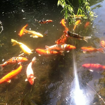 United Rentals - Fish - Building Supplies Near Me - Modesto, California United Rentals - Fish - Building Supplies Near Me - Modesto, California