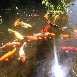 United Rentals - Fish