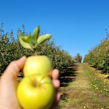 Apple Ridge Orchards - Pick Your Own Farms Near Me - Warwick, New York