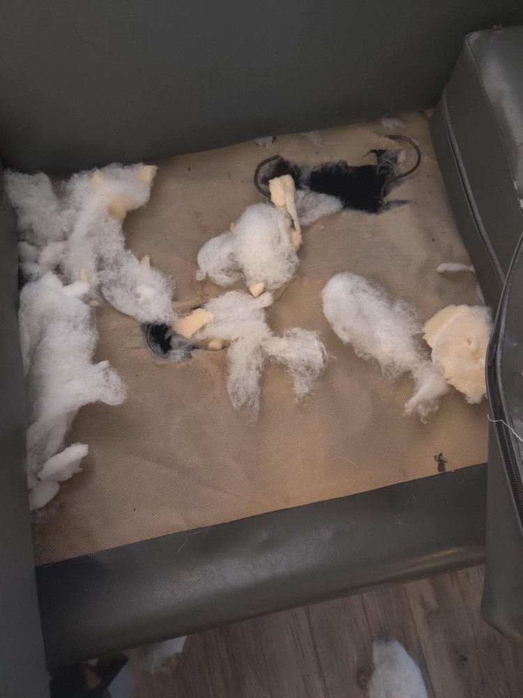 IQ LUXURY APARTMENTS Updated August 2024 22 Reviews 12708 Bruce B