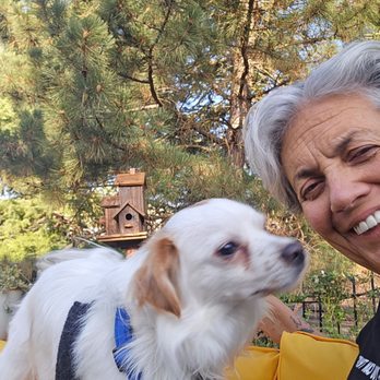 Stallion Springs Pet Sitting - Pet Sitting Near Me Stallion Springs Pet Sitting - Pet Sitting Near Me