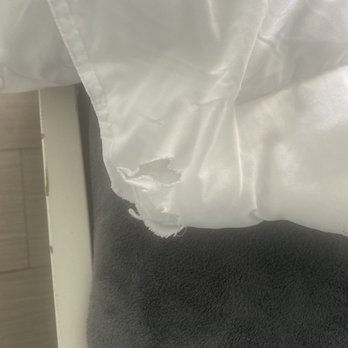 Hollywood Beachside Boutique Suites - Bed sheets tear apart - Hotels Near Me - Hollywood, Florida Hollywood Beachside Boutique Suites - Bed sheets tear apart - Hotels Near Me - Hollywood, Florida
