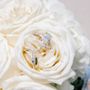 Photo of D'Amore Jewelers