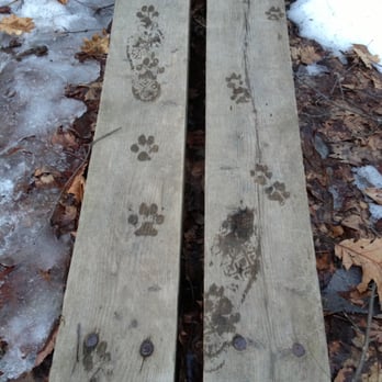 Clark's Pond Trail - Dog Parks Near Me - South Portland, Maine Clark's Pond Trail - Dog Parks Near Me - South Portland, Maine
