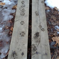 Clark's Pond Trail