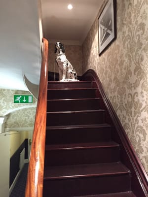 The Belmont Hotel, Leicester by null