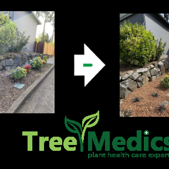 Tree Medics - Tree Services Near Me - Tualatin, Oregon Tree Medics - Tree Services Near Me - Tualatin, Oregon
