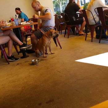 Ruby Slipper Pensacola - You can bring your pup! Awwwweee - Breakfast & Brunch Near Me - Pensacola, Florida Ruby Slipper Pensacola - You can bring your pup! Awwwweee - Breakfast & Brunch Near Me - Pensacola, Florida
