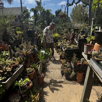 Solana Succulents - Nurseries & Gardening Near Me - Solana Beach, California