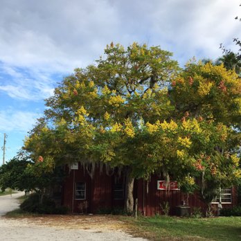 Red Wing Restaurant - New American Near Me - Groveland, Florida
