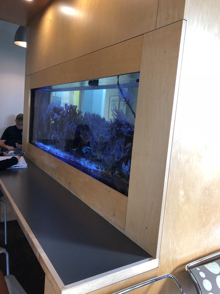 ARIZONA ALLERGY ASSOCIATES 58 Reviews 705 S Dobson Rd, Chandler, AZ