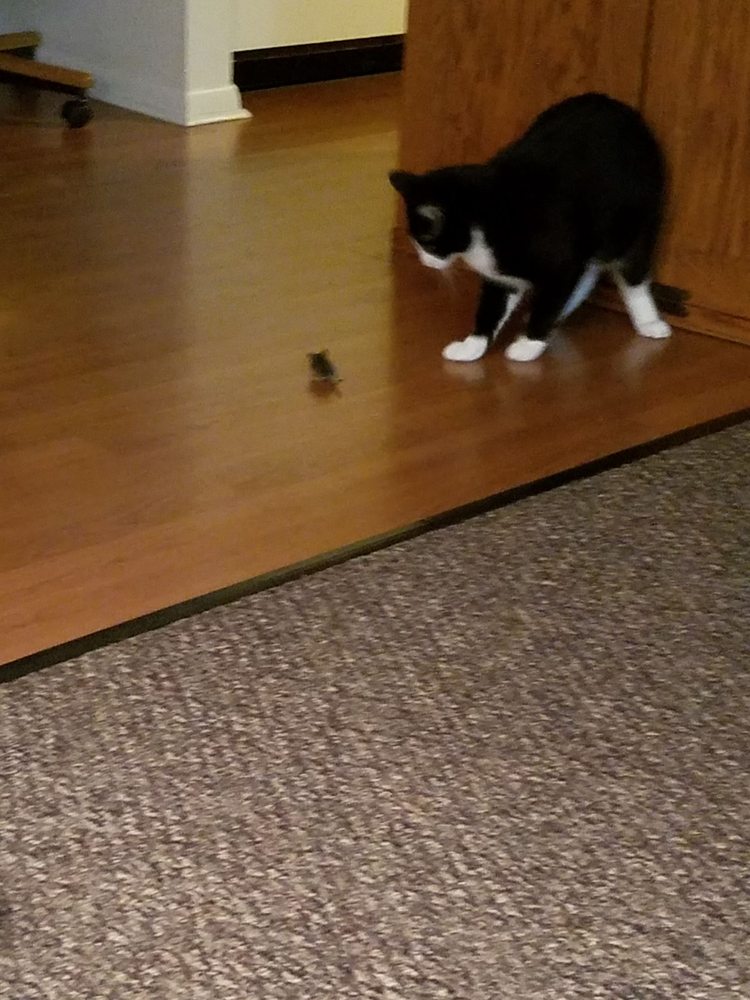 BRITTANY APARTMENTS Updated July 2024 2555 S Calhoun Rd, New Berlin