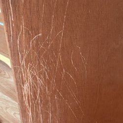 Eugene True Value Hardware - Scratched door
