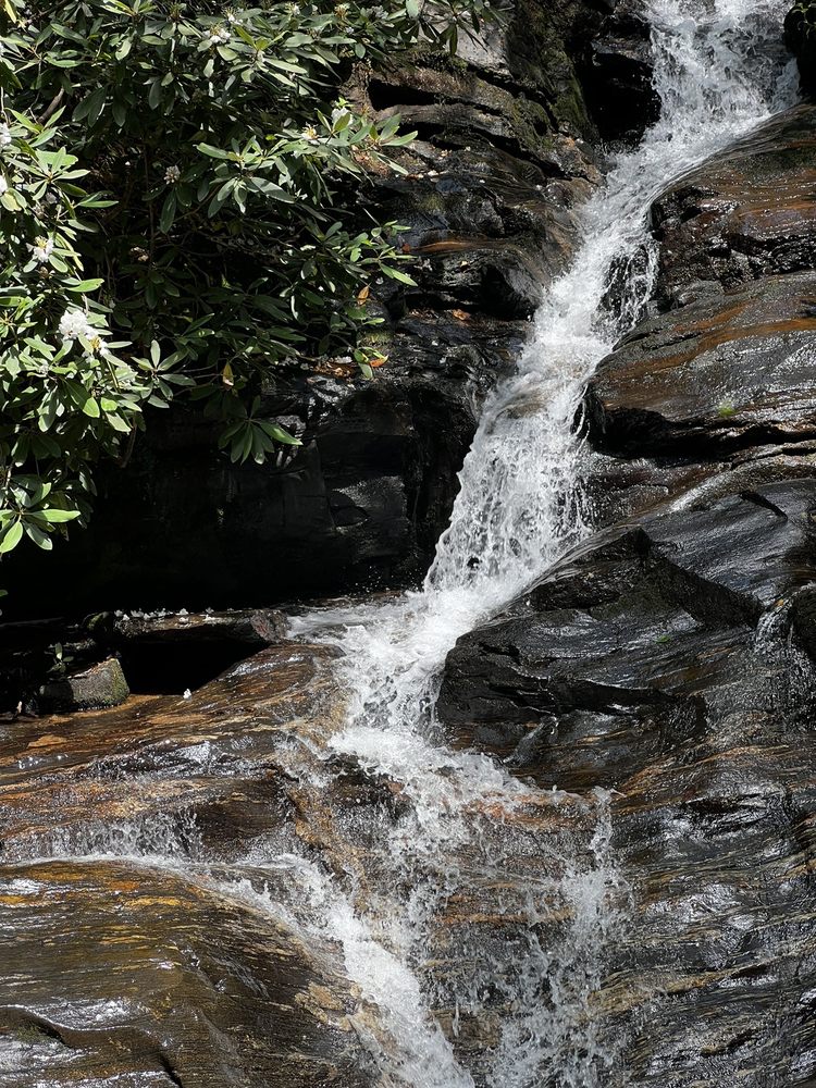 Dukes Creek Falls Trail Logo