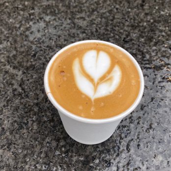 Coffee Lunar - Cortado - Coffee & Tea Near Me - Toronto, Ontario
