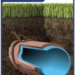 Aqua Bear Plumbing & Drain