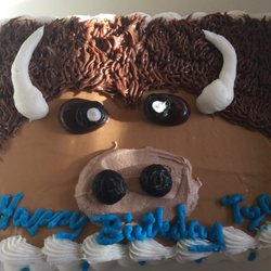 Baskin Robbins - Very cool buffalo birthday cake.