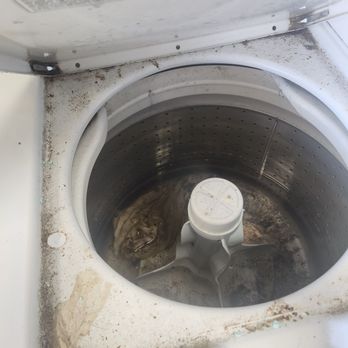 Launderland - Many like this. Last time I was here, there was nasty rotten smell from water. cockroaches too. Wont be back. - Laundromat Near Me - Redding, California Launderland - Many like this. Last time I was here, there was nasty rotten smell from water. cockroaches too. Wont be back. - Laundromat Near Me - Redding, California