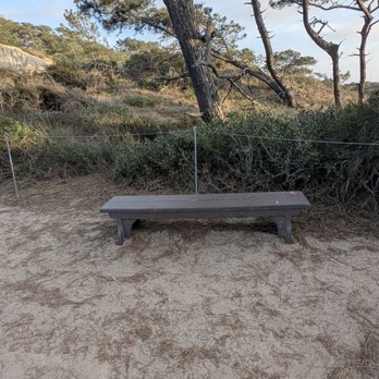 Torrey Pines State Reserve - You can sit on the bench if you decide not to walk - Parks Near Me - La Jolla, California