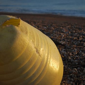 Brighton and Hove Beach - beach - Beaches Near Me - Brighton, BNH