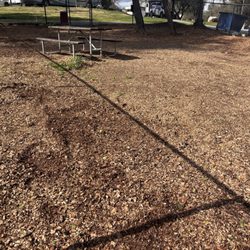 Dog park