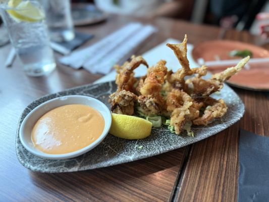 Bōl Hollywood by null