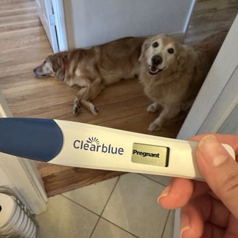 Alin Lina Akopians, MD - I cheated and took a pregnancy test early. This is proof that Dr. Akopians can make dreams and hope and turn it into reality. - Fertility Near Me - Beverly Hills, California Alin Lina Akopians, MD - I cheated and took a pregnancy test early. This is proof that Dr. Akopians can make dreams and hope and turn it into reality. - Fertility Near Me - Beverly Hills, California