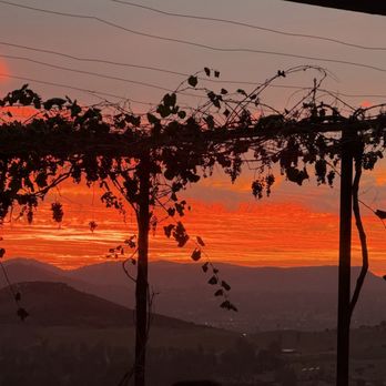 Cordiano Winery - Cordiano Winery in Escondido, CA. - Wineries Near Me - Escondido, California