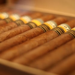 Tobacconist Havana