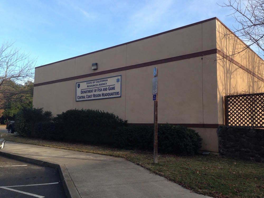 California visual data 7